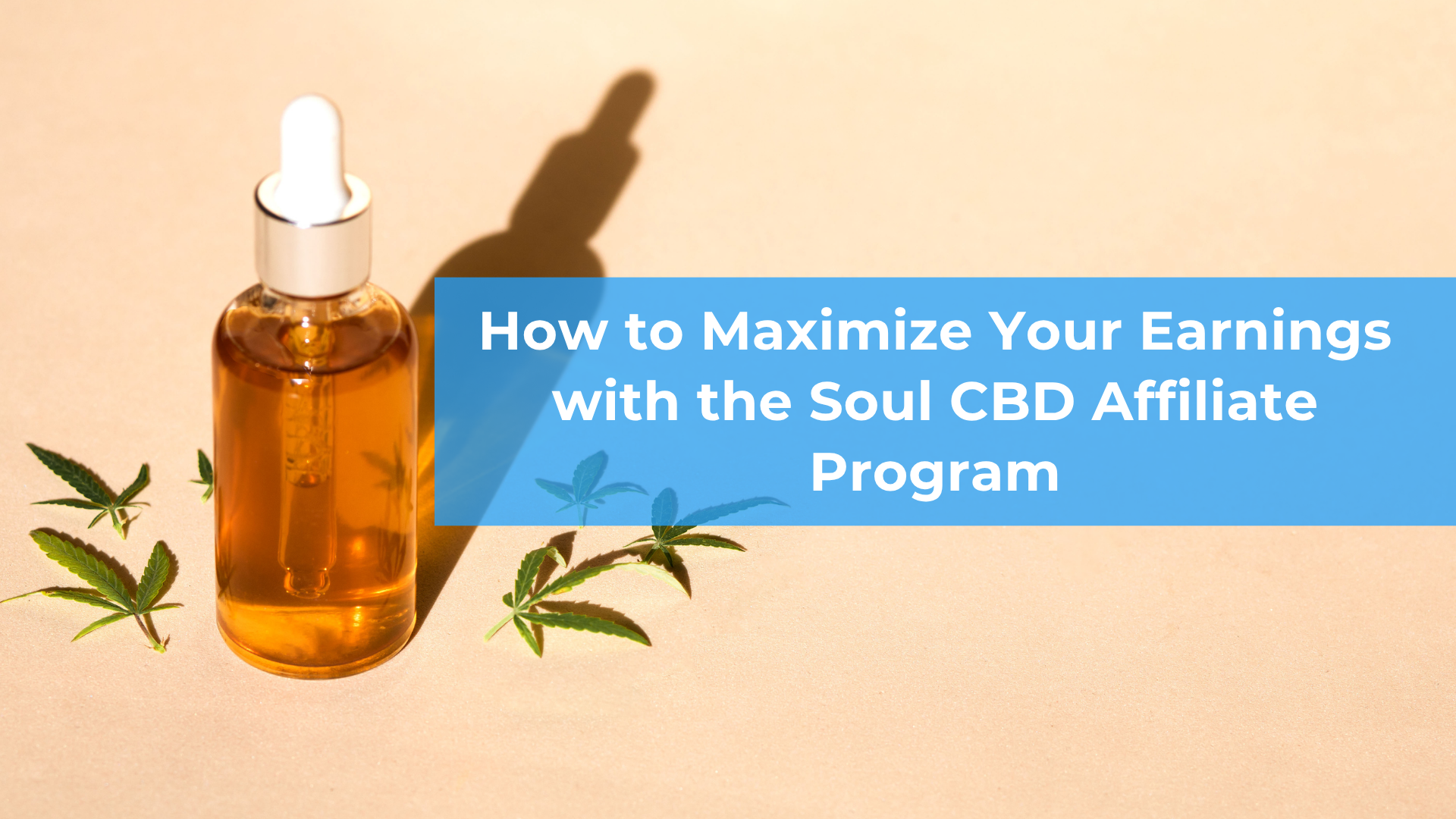 CBD Oil